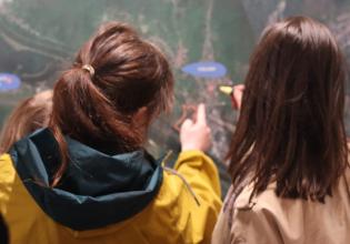 Marche exploratoire Cite inclusive