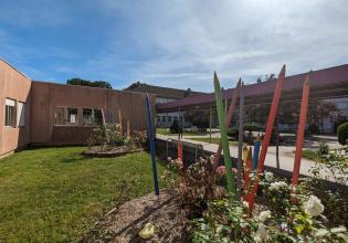 Cour d'école végétalisée