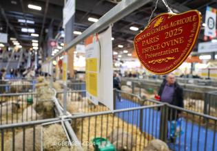 Concours agricole au Salon de l'agriculture