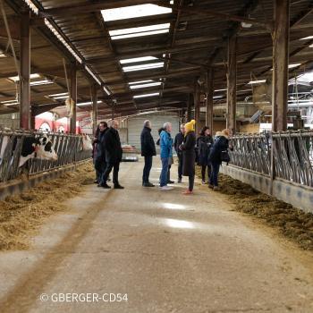 Canton Meine au Saintois