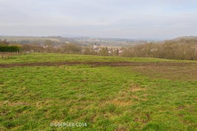 Canton Meine au Saintois - Agrandir l'image 1 sur 6, fenêtre modale