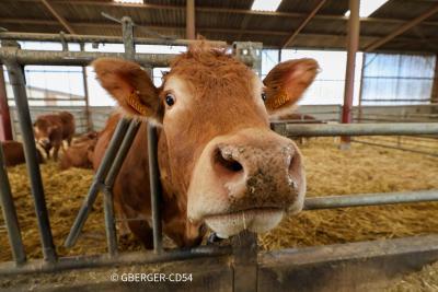 Canton Meine au Saintois - Agrandir l'image 3 sur 6, fenêtre modale