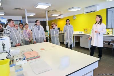 Agrandir l'image 3 sur 3, fenêtre modale