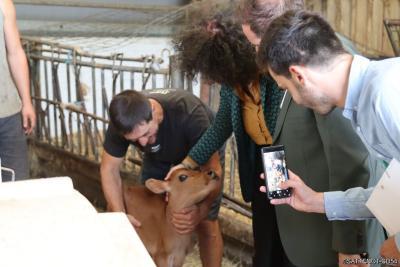 Présentation Marché d'intérêt local - Pacte MGN - Agrandir l'image 4 sur 5, fenêtre modale