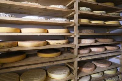 Visite par les élus du canton Nancy-2 - Agrandir l'image 7 sur 8, fenêtre modale