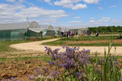 Visite du canton Nord Toulois - Agrandir l'image 4 sur 5, fenêtre modale