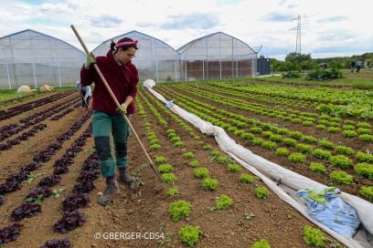 Visite du canton Nord Toulois - Agrandir l'image, fenêtre modale