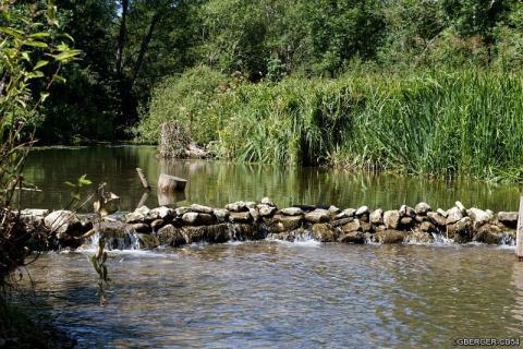 Vue de l'Espace Naturel Sensible du Moulin de Villevaux