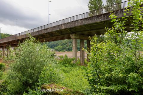 Canton Longwy