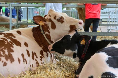 Signature de la charte agricole 2025